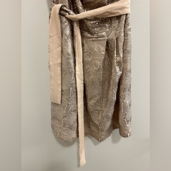 Free People Blush Sequin Swirl Dress with a Drape Neck - Picture 5 of 9